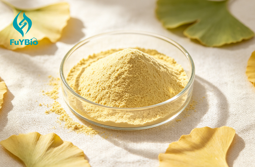 Ginkgo Biloba Leaf Extract